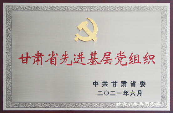 建黨100周年之際甘肅中集理想國(guó)際寫(xiě)字樓聯(lián)合黨支部喜獲殊榮